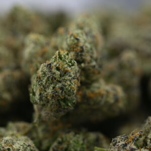 Teds Buds Bigs-  Torta Pounder