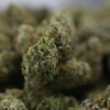 Teds Buds Bigs-  Torta Pounder