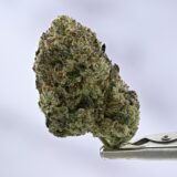 Not Your Cousins LCG - Image 2