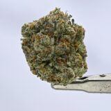 Lemon Blizzard - Image 2