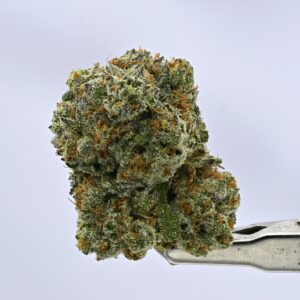 Lemon Blizzard