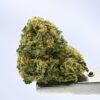 Preferred Gardens- Mixed Light Z