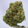 Northern Haze