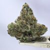 Teds Buds Bigs-  Torta Pounder