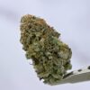 Purple Bubba Kush