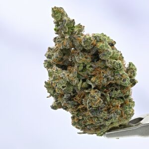 Nameless Genetics - Sour Runtz