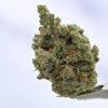 Nameless Genetics - Sour Runtz