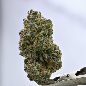 Woodwide - Viper Cookies