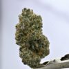 Woodwide - Viper Cookies
