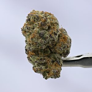 Blue Cookies