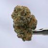 Blue Cookies