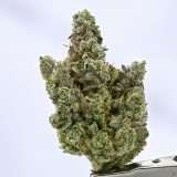 Duct Butter - Image 2