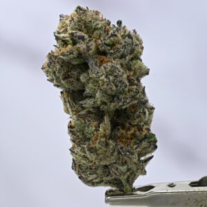 Gorilla Butter
