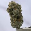 Gorilla Butter