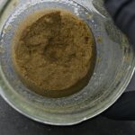 Staefli Farms Hash - Papaya Burger