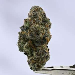 Lemon Crème