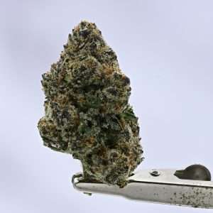 Lemon Crème