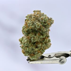 Mango Haze