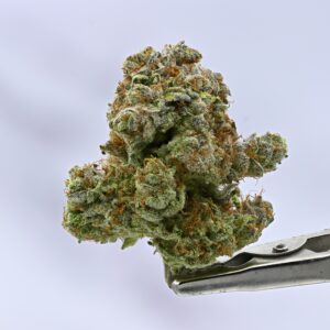 Mango Haze