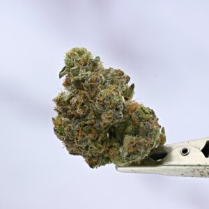 Mendoja Farms - OGZ #28