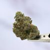 Mendoja Farms - OGZ #28