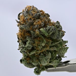 Purple Bubba Kush