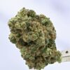 Nameless Genetics - Sour Runtz
