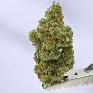 Small Batch- Super Silver Haze