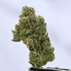 Preferred Gardens ML Chocolate Diesel