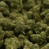 Frosted Lemons - Image 3