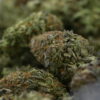 Purple Bubba Kush