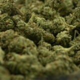 Elmers Glue - Image 3