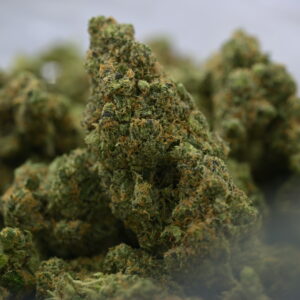 Seed Junky- Lemon up(kushington cut) x Zkittlez