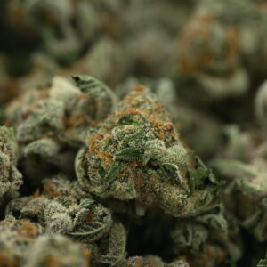 NTK Untrimmed Smalls - Mimosa