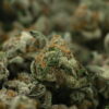 NTK Untrimmed Smalls - Mimosa