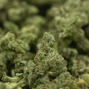 Preferred Gardens ML Chocolate Diesel