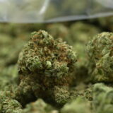 Gorilla Glue #4 - Image 3