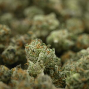 Exodus Cheese Smalls