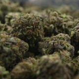 Small Batch - Red Hotz - Image 3