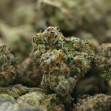 A5 Hot Pot - Image 3