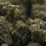 Biscotti Bigs - Image 3