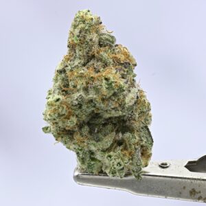 Small Batch - MAC - 1