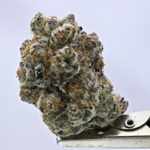 Yacht Club - Mac n Mandarin