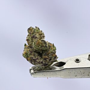Purple Ice Pop Smalls
