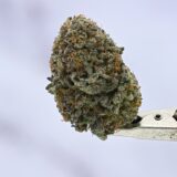 Purple Bubba Kush - Image 2