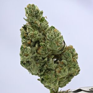 Preferred Gardens ML Chocolate Diesel