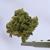 Elmers Glue - Image 2