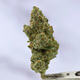 Frosted Lemons - Image 2