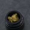 HRC T2- GMO