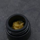 HRC T2- Government Oasis - Image 2